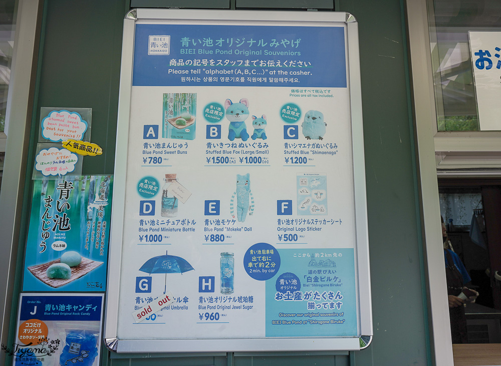 北海道美瑛｜白金青池：絕美青藍人池，美瑛知名人氣景點 @緹雅瑪 美食旅遊趣