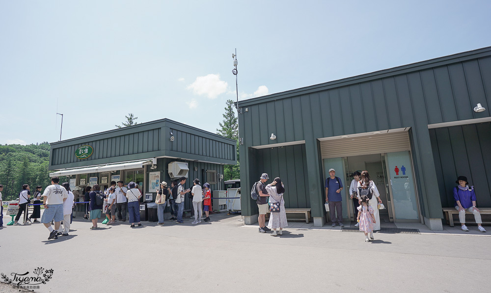 北海道美瑛｜白金青池：絕美青藍人池，美瑛知名人氣景點 @緹雅瑪 美食旅遊趣