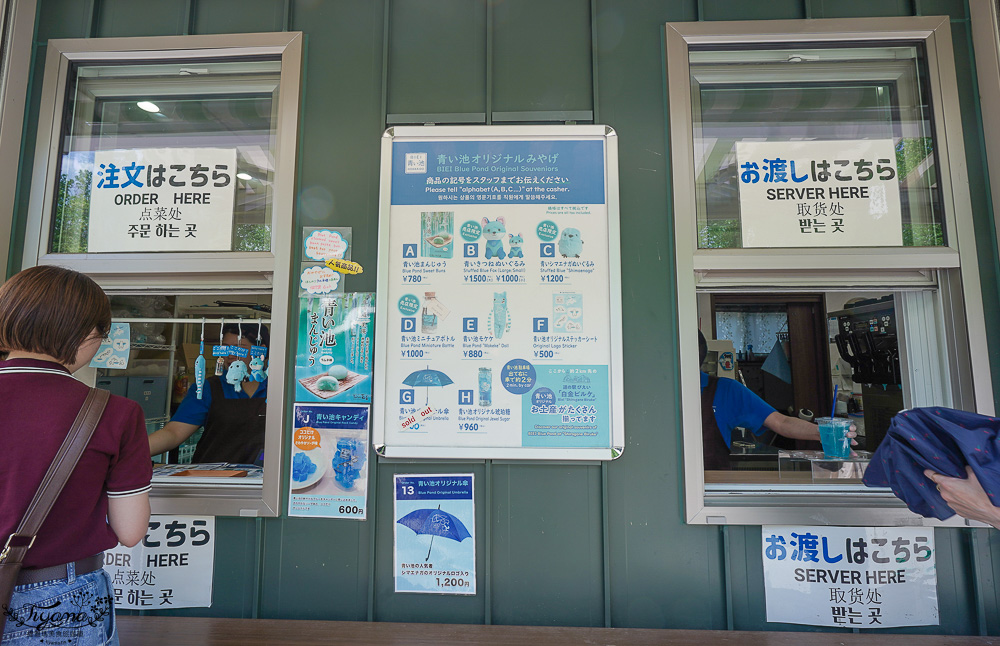 北海道美瑛｜白金青池：絕美青藍人池，美瑛知名人氣景點 @緹雅瑪 美食旅遊趣