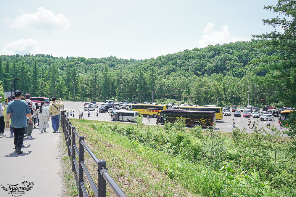 北海道美瑛｜白金青池：絕美青藍人池，美瑛知名人氣景點 @緹雅瑪 美食旅遊趣