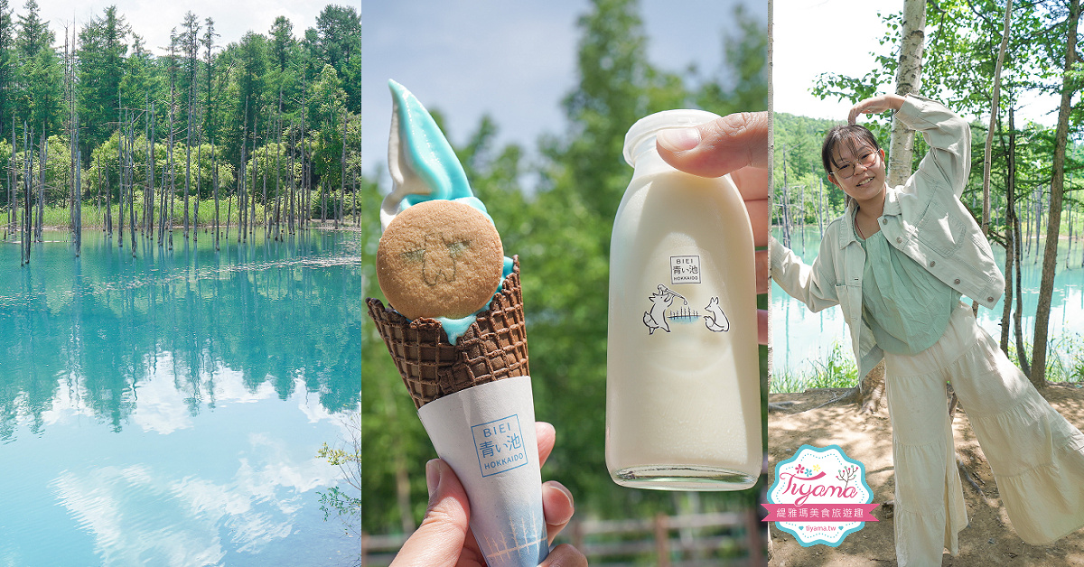 北海道美瑛｜白金青池：絕美青藍人池，美瑛知名人氣景點 @緹雅瑪 美食旅遊趣