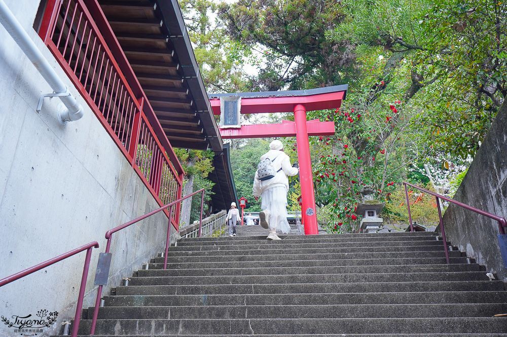 長崎諏訪神社｜長崎人氣神社「鎮西大社 諏訪神社」：避邪、尋覓愛情(月老)、洗錢神社，旁邊還有長崎公園免費動物園 @緹雅瑪 美食旅遊趣