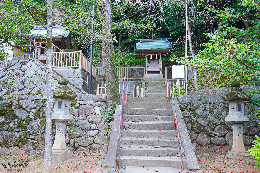 長崎諏訪神社｜長崎人氣神社「鎮西大社 諏訪神社」：避邪、尋覓愛情(月老)、洗錢神社，旁邊還有長崎公園免費動物園 @緹雅瑪 美食旅遊趣