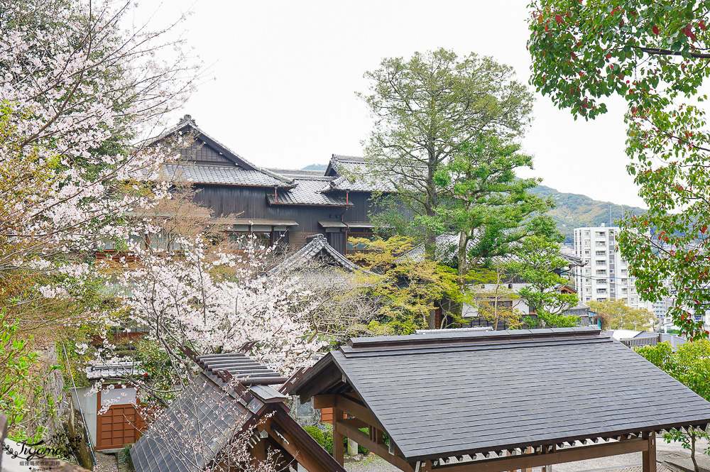長崎諏訪神社｜長崎人氣神社「鎮西大社 諏訪神社」：避邪、尋覓愛情(月老)、洗錢神社，旁邊還有長崎公園免費動物園 @緹雅瑪 美食旅遊趣