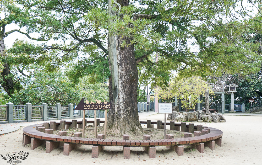 長崎諏訪神社｜長崎人氣神社「鎮西大社 諏訪神社」：避邪、尋覓愛情(月老)、洗錢神社，旁邊還有長崎公園免費動物園 @緹雅瑪 美食旅遊趣