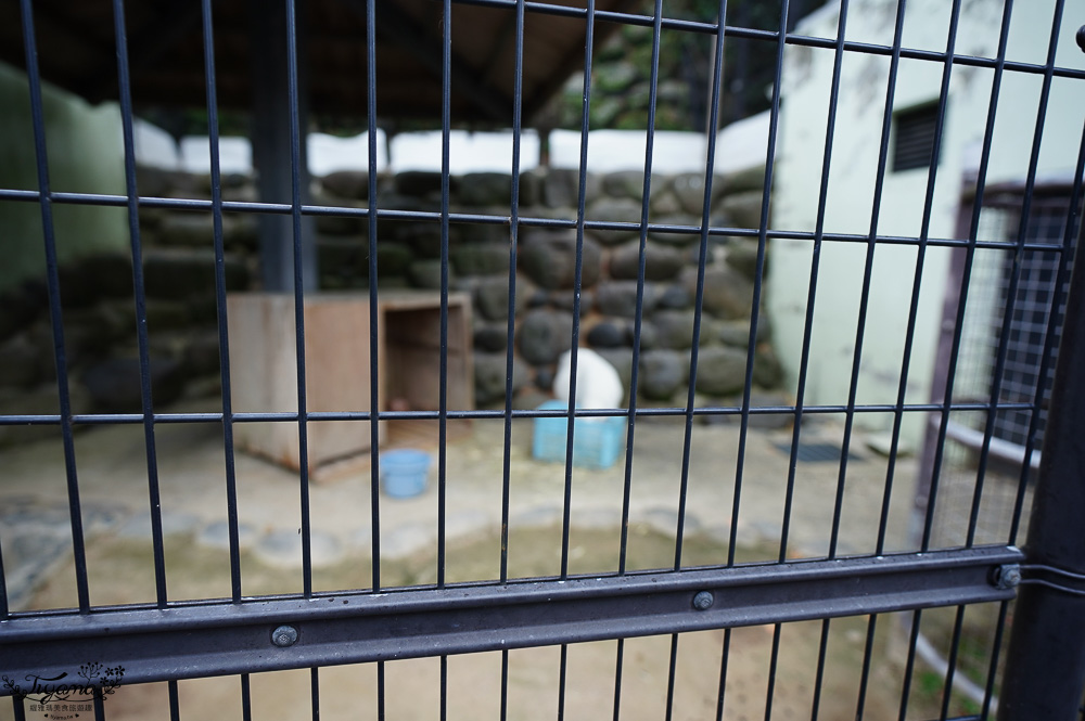 長崎諏訪神社｜長崎人氣神社「鎮西大社 諏訪神社」：避邪、尋覓愛情(月老)、洗錢神社，旁邊還有長崎公園免費動物園 @緹雅瑪 美食旅遊趣