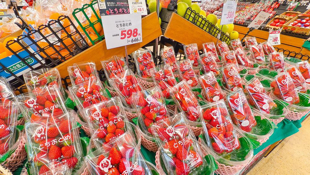 北海道函館超市「Coop Sapporo 末広西店」元町十字街的好逛超市 @緹雅瑪 美食旅遊趣