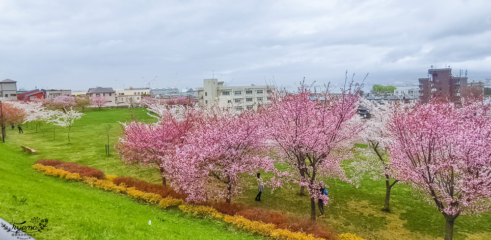 北海道函館元町散步路線！！元町教堂群散策之旅，太好拍了~享受慢活的異國氛圍 @緹雅瑪 美食旅遊趣