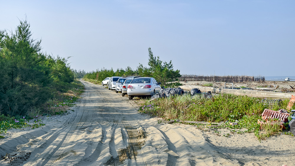 台南挖蛤蜊景點｜免費挖蛤蜊期間限定，台南北門雙春海岸線野生蛤蜊大爆發！！ @緹雅瑪 美食旅遊趣