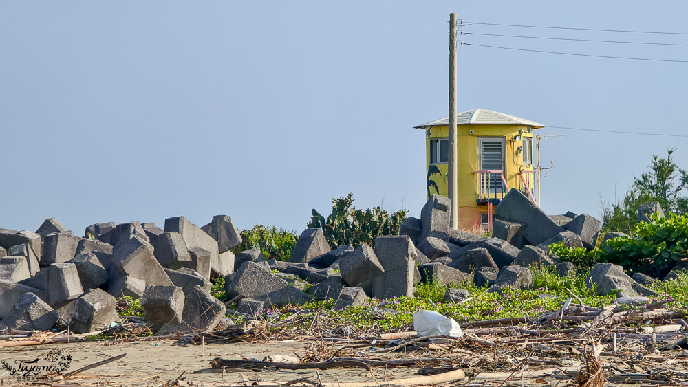 台南挖蛤蜊景點｜免費挖蛤蜊期間限定，台南北門雙春海岸線野生蛤蜊大爆發！！ @緹雅瑪 美食旅遊趣