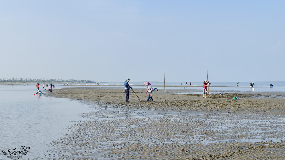 台南挖蛤蜊景點｜免費挖蛤蜊期間限定，台南北門雙春海岸線野生蛤蜊大爆發！！ @緹雅瑪 美食旅遊趣