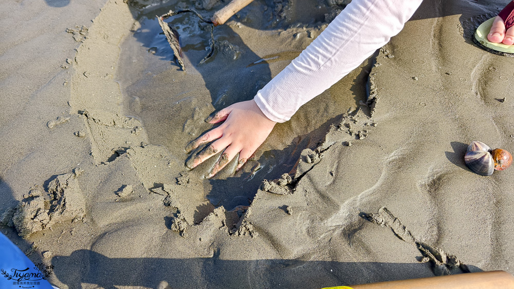 台南挖蛤蜊景點｜免費挖蛤蜊期間限定，台南北門雙春海岸線野生蛤蜊大爆發！！ @緹雅瑪 美食旅遊趣