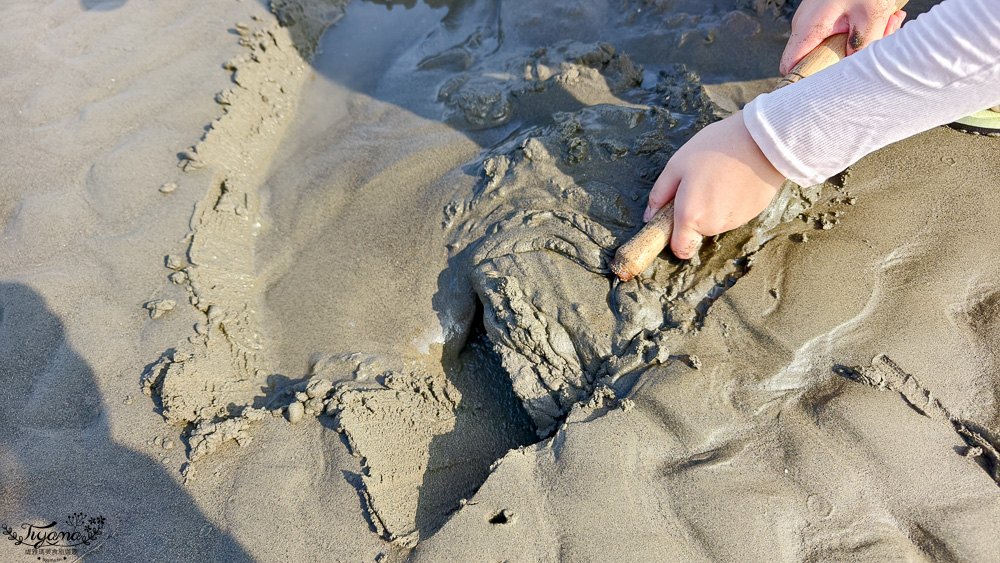 台南挖蛤蜊景點｜免費挖蛤蜊期間限定，台南北門雙春海岸線野生蛤蜊大爆發！！ @緹雅瑪 美食旅遊趣