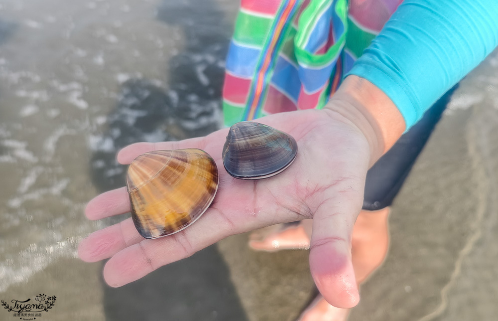 台南挖蛤蜊景點｜免費挖蛤蜊期間限定，台南北門雙春海岸線野生蛤蜊大爆發！！ @緹雅瑪 美食旅遊趣