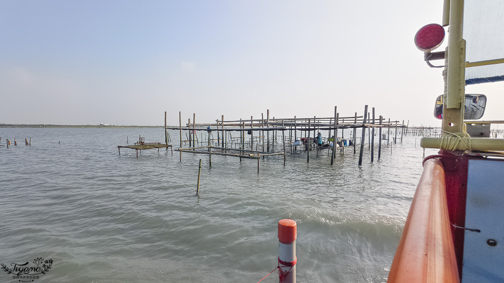 王功挖蛤烤蚵吃到飽！王功丫瑋觀光採蚵車，烤棚大又乾淨，收費大人200．小孩100．幼童免費，最超值的玩水活動 @緹雅瑪 美食旅遊趣