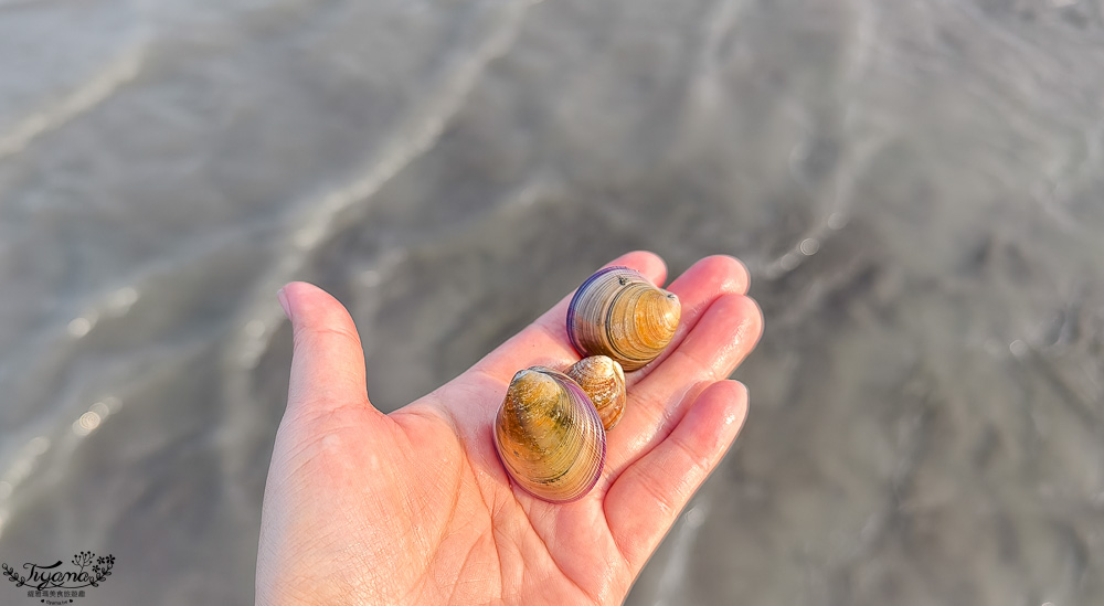 王功挖蛤烤蚵吃到飽！王功丫瑋觀光採蚵車，烤棚大又乾淨，收費大人200．小孩100．幼童免費，最超值的玩水活動 @緹雅瑪 美食旅遊趣