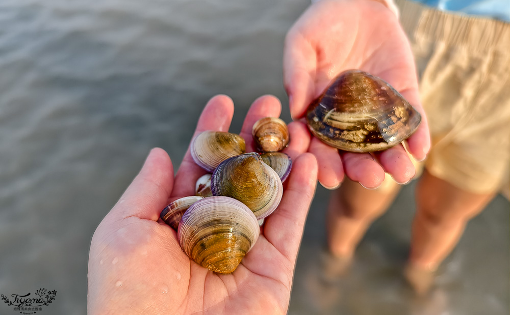 王功挖蛤烤蚵吃到飽！王功丫瑋觀光採蚵車，烤棚大又乾淨，收費大人200．小孩100．幼童免費，最超值的玩水活動 @緹雅瑪 美食旅遊趣