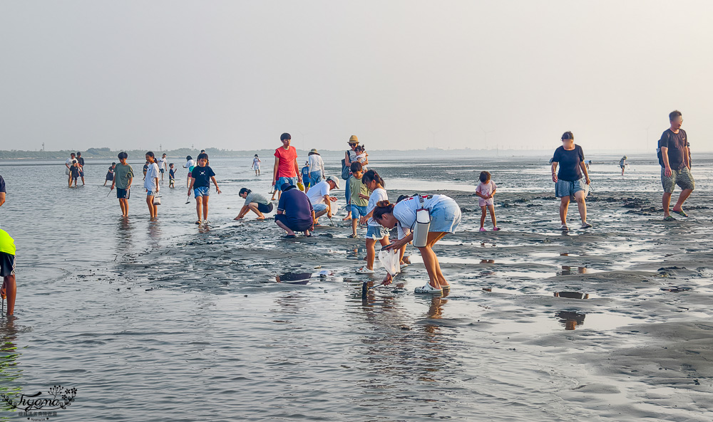 王功挖蛤烤蚵吃到飽！王功丫瑋觀光採蚵車，烤棚大又乾淨，收費大人200．小孩100．幼童免費，最超值的玩水活動 @緹雅瑪 美食旅遊趣