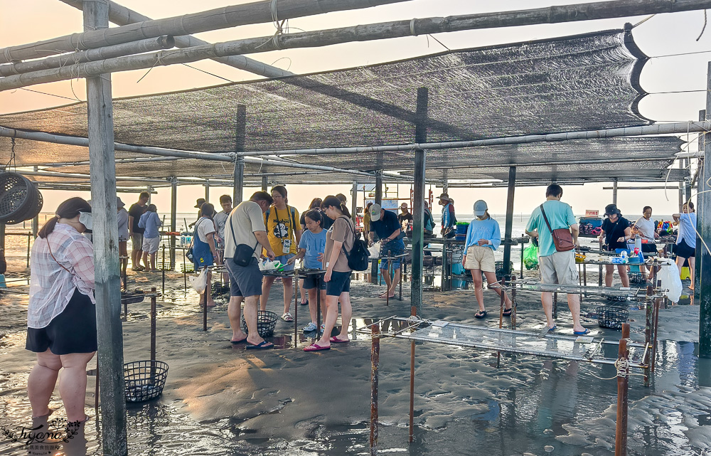 王功挖蛤烤蚵吃到飽！王功丫瑋觀光採蚵車，烤棚大又乾淨，收費大人200．小孩100．幼童免費，最超值的玩水活動 @緹雅瑪 美食旅遊趣