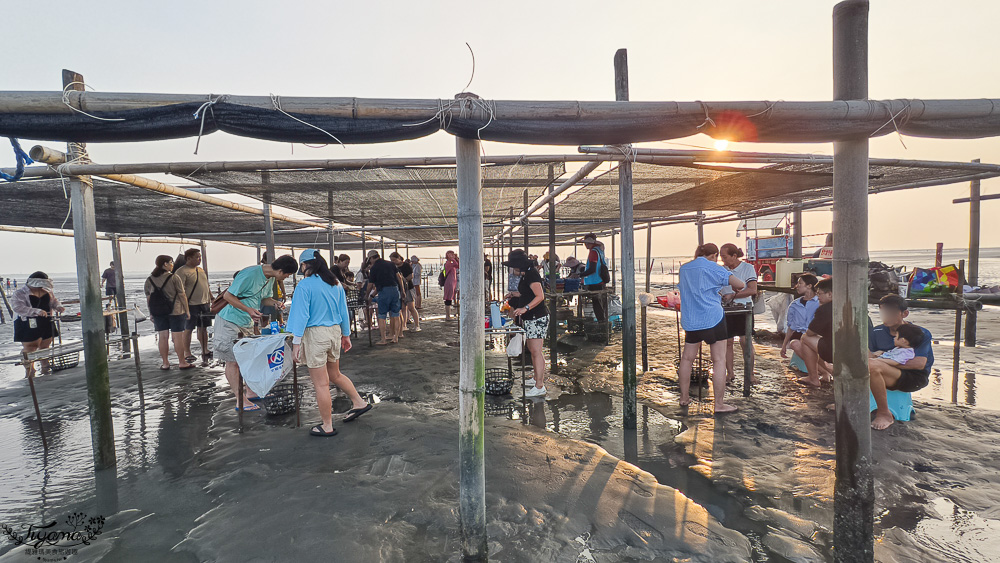 王功挖蛤烤蚵吃到飽！王功丫瑋觀光採蚵車，烤棚大又乾淨，收費大人200．小孩100．幼童免費，最超值的玩水活動 @緹雅瑪 美食旅遊趣