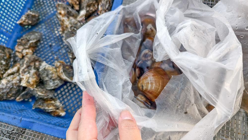 王功挖蛤烤蚵吃到飽！王功丫瑋觀光採蚵車，烤棚大又乾淨，收費大人200．小孩100．幼童免費，最超值的玩水活動 @緹雅瑪 美食旅遊趣