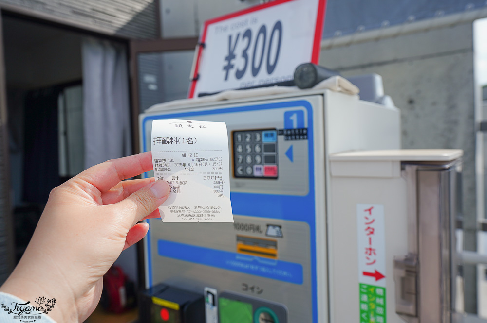 北海道頭大佛殿，在真駒内滝野霊園裡建築大師安藤忠雄的作品「洞窟中巨大佛殿」 @緹雅瑪 美食旅遊趣