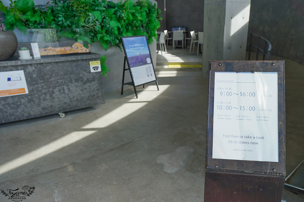 北海道頭大佛殿，在真駒内滝野霊園裡建築大師安藤忠雄的作品「洞窟中巨大佛殿」 @緹雅瑪 美食旅遊趣