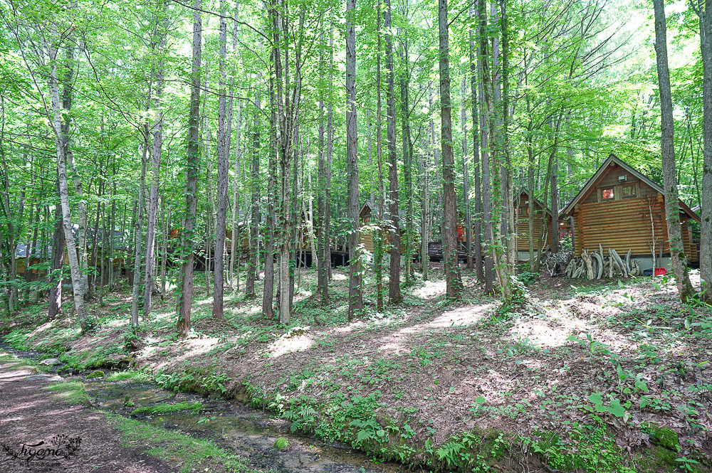 北海道富良野美食「森之時計｜珈琲 森の時計」森林精靈露台裡的幻夢咖啡廳~來杯DIY手磨豆的手沖咖啡，20週年森林劇院蛋糕 @緹雅瑪 美食旅遊趣