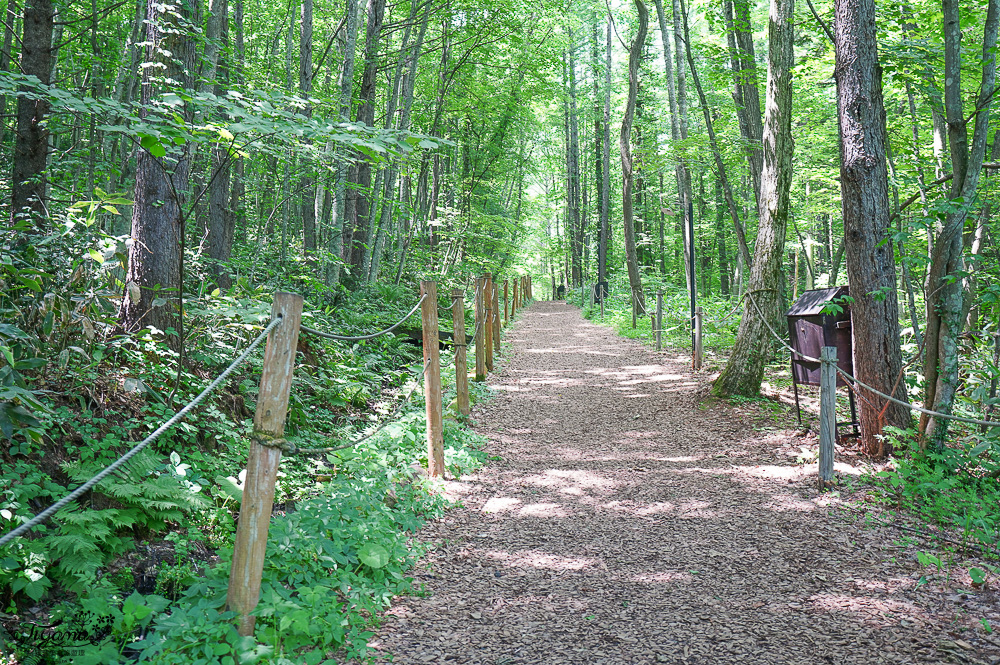 北海道富良野美食「森之時計｜珈琲 森の時計」森林精靈露台裡的幻夢咖啡廳~來杯DIY手磨豆的手沖咖啡，20週年森林劇院蛋糕 @緹雅瑪 美食旅遊趣