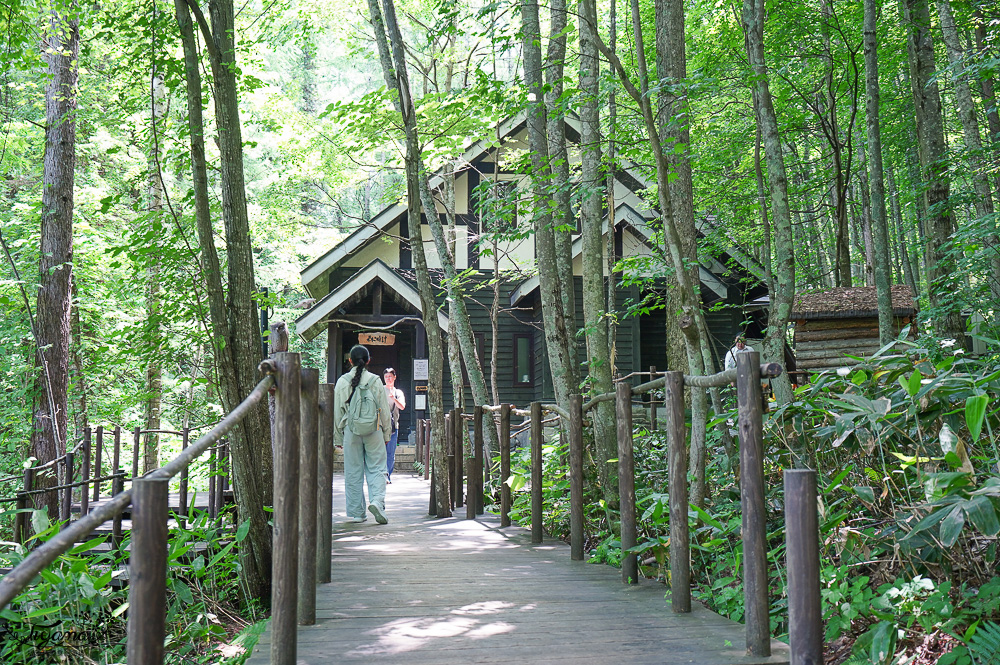 北海道富良野美食「森之時計｜珈琲 森の時計」森林精靈露台裡的幻夢咖啡廳~來杯DIY手磨豆的手沖咖啡，20週年森林劇院蛋糕 @緹雅瑪 美食旅遊趣