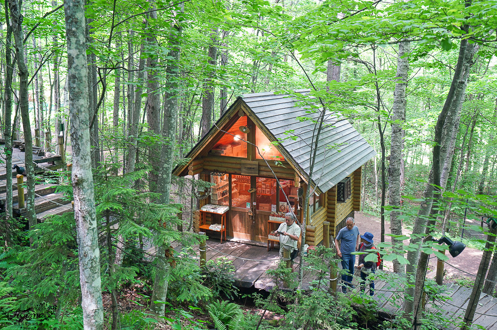 北海道童話小木屋村落「森林精靈露台」夢幻富良野景點，漫步在寧靜優美裡的秘境森林 @緹雅瑪 美食旅遊趣