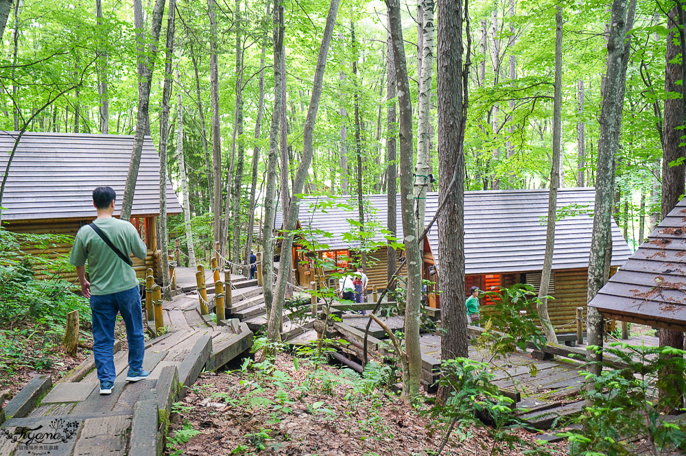 北海道童話小木屋村落「森林精靈露台」夢幻富良野景點，漫步在寧靜優美裡的秘境森林 @緹雅瑪 美食旅遊趣