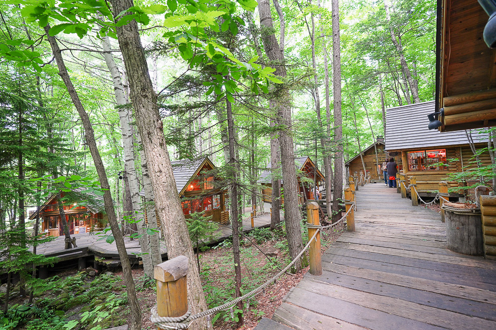 北海道童話小木屋村落「森林精靈露台」夢幻富良野景點，漫步在寧靜優美裡的秘境森林 @緹雅瑪 美食旅遊趣