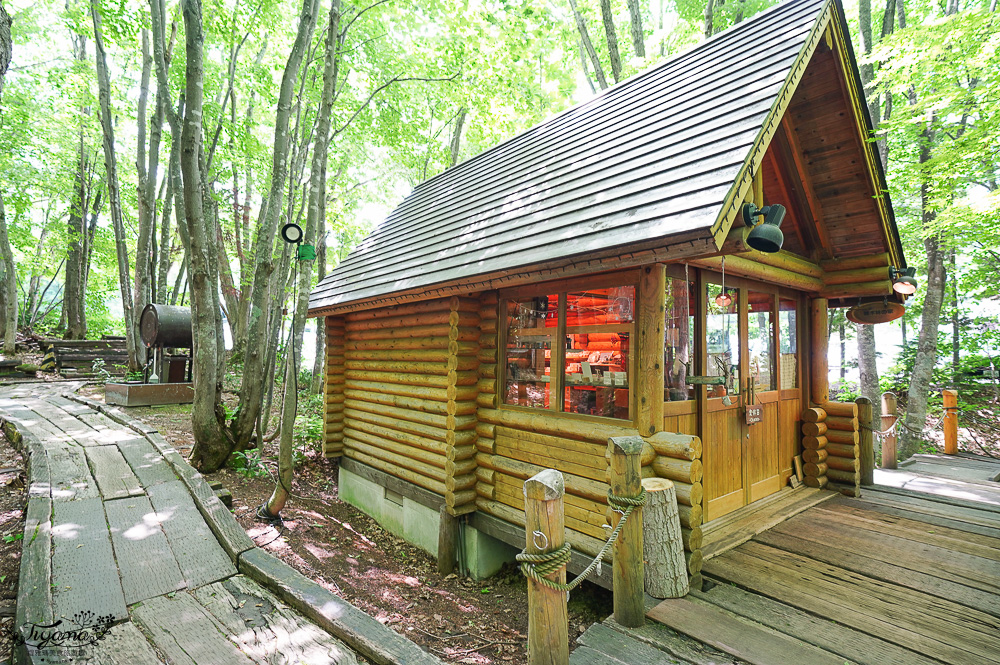 北海道童話小木屋村落「森林精靈露台」夢幻富良野景點，漫步在寧靜優美裡的秘境森林 @緹雅瑪 美食旅遊趣