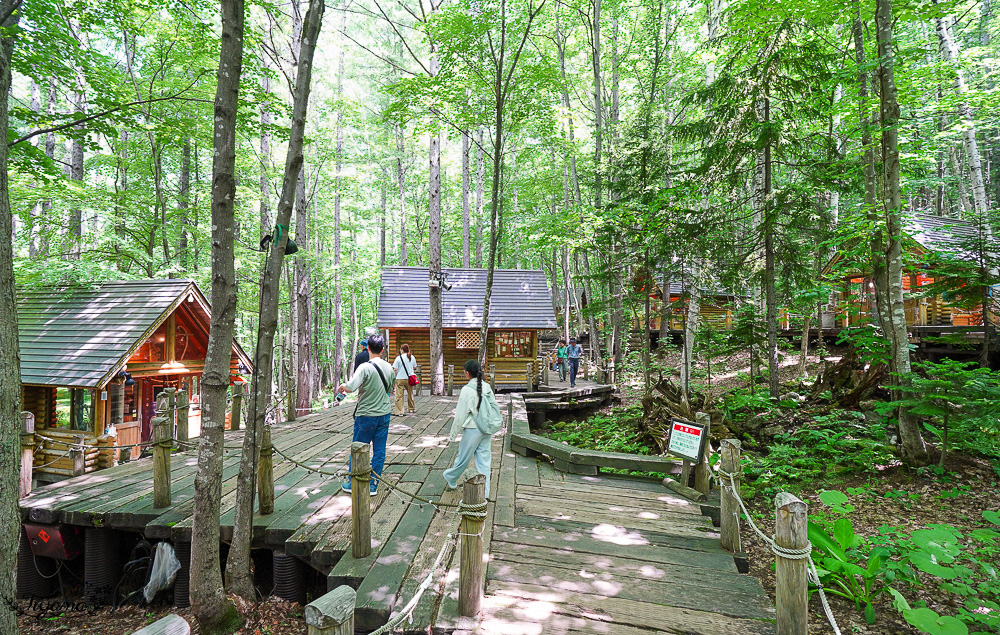 北海道童話小木屋村落「森林精靈露台」夢幻富良野景點，漫步在寧靜優美裡的秘境森林 @緹雅瑪 美食旅遊趣