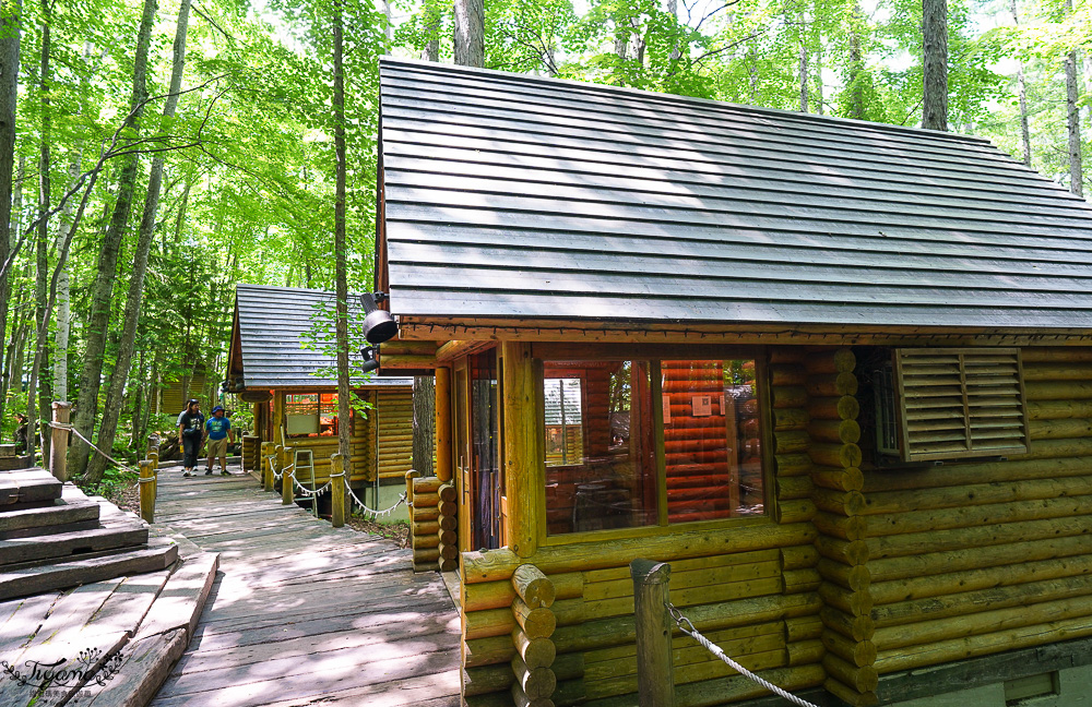 北海道童話小木屋村落「森林精靈露台」夢幻富良野景點，漫步在寧靜優美裡的秘境森林 @緹雅瑪 美食旅遊趣