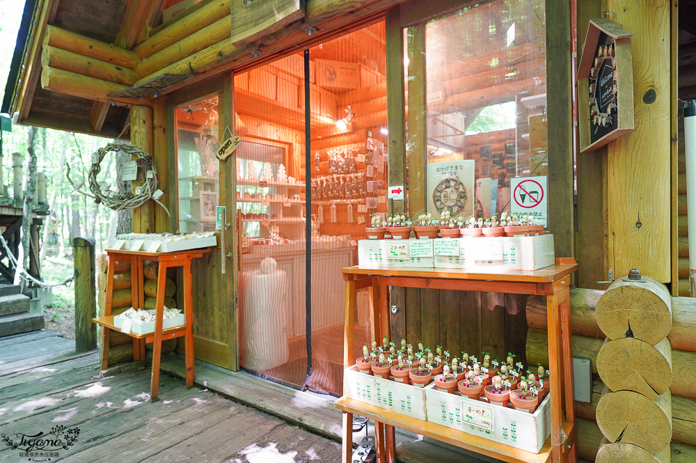 北海道童話小木屋村落「森林精靈露台」夢幻富良野景點，漫步在寧靜優美裡的秘境森林 @緹雅瑪 美食旅遊趣