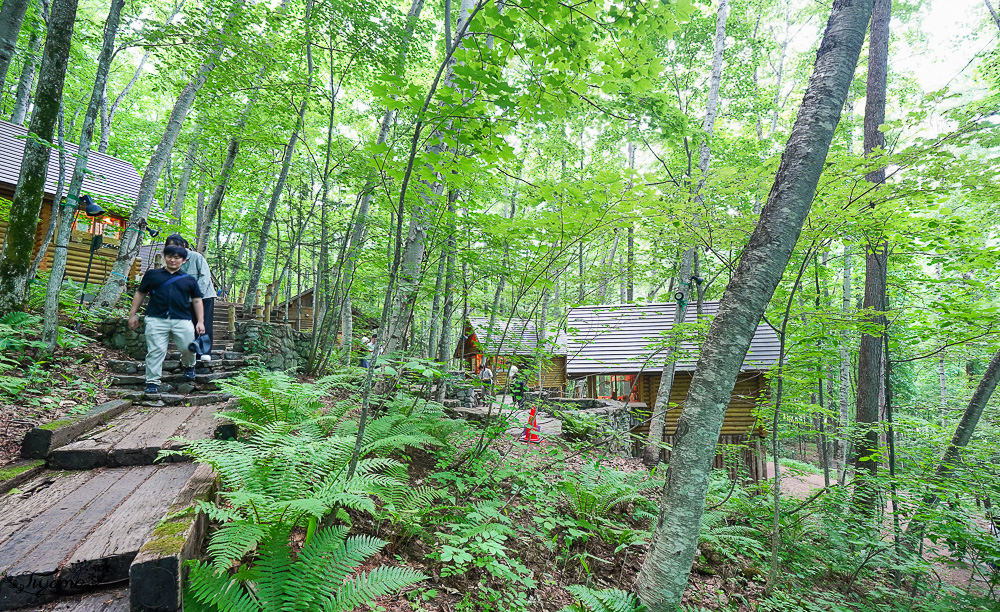 北海道童話小木屋村落「森林精靈露台」夢幻富良野景點，漫步在寧靜優美裡的秘境森林 @緹雅瑪 美食旅遊趣