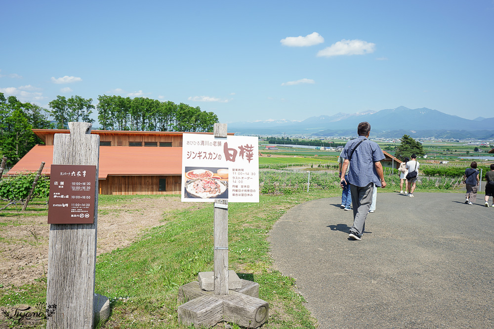 北海道富良野六花亭「坎帕納六花亭」,葡萄園與藍莓園裡的人氣甜點店 @緹雅瑪 美食旅遊趣 北海道富良野六花亭「坎帕納六花亭」,葡萄園與藍莓園裡的人氣甜點店 @緹雅瑪 美食旅遊趣