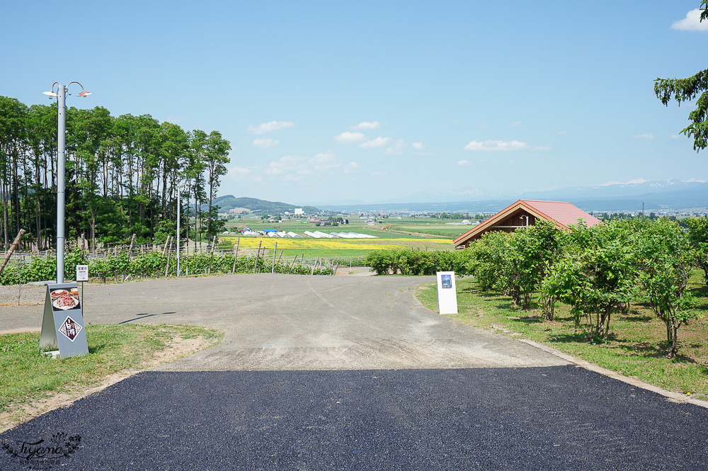 北海道富良野六花亭「坎帕納六花亭」,葡萄園與藍莓園裡的人氣甜點店 @緹雅瑪 美食旅遊趣 北海道富良野六花亭「坎帕納六花亭」,葡萄園與藍莓園裡的人氣甜點店 @緹雅瑪 美食旅遊趣