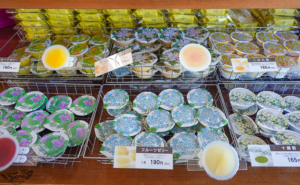 北海道富良野六花亭「坎帕納六花亭」，葡萄園與藍莓園裡的人氣甜點店 @緹雅瑪 美食旅遊趣