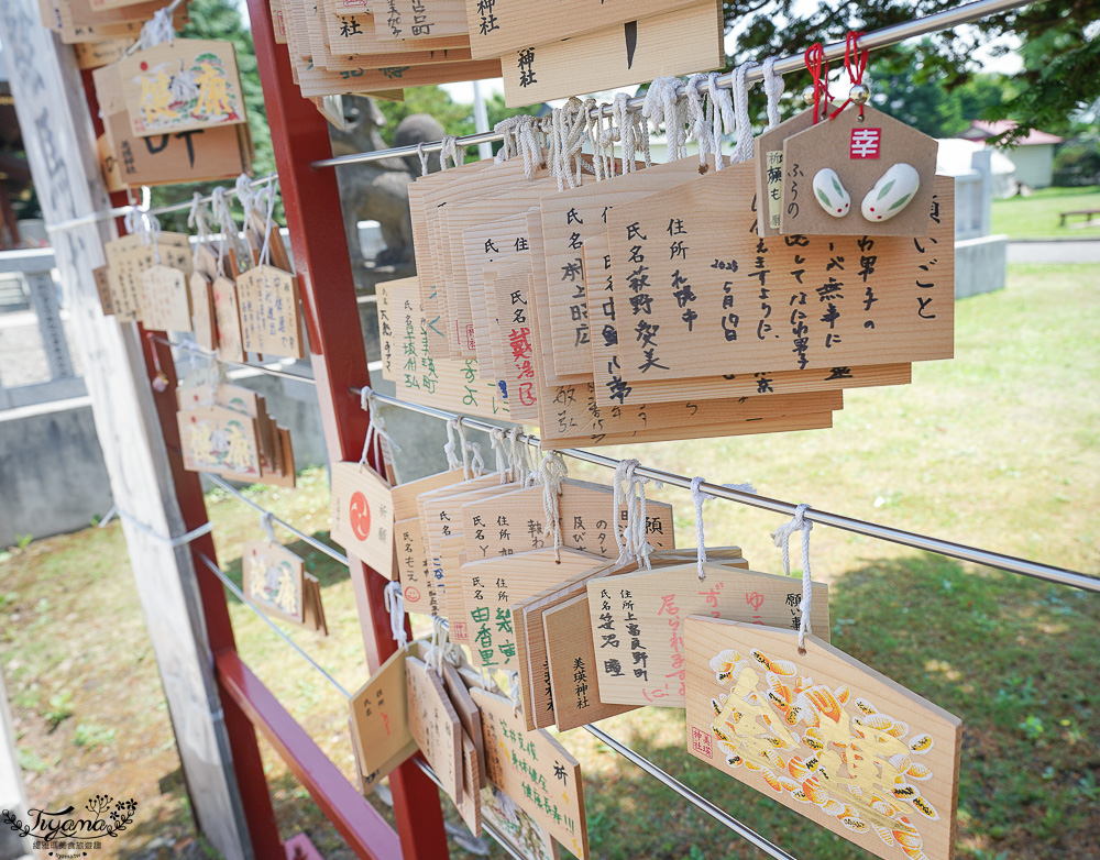 北海道美麗神社|美瑛神社:祈求好姻緣的華麗神社,一粒米帶來萬倍財富-玉米蝦夷神籤,北海道15個蝦夷神籤之一 @緹雅瑪 美食旅遊趣 北海道美麗神社|美瑛神社:祈求好姻緣的華麗神社,一粒米帶來萬倍財富-玉米蝦夷神籤,北海道15個蝦夷神籤之一 @緹雅瑪 美食旅遊趣