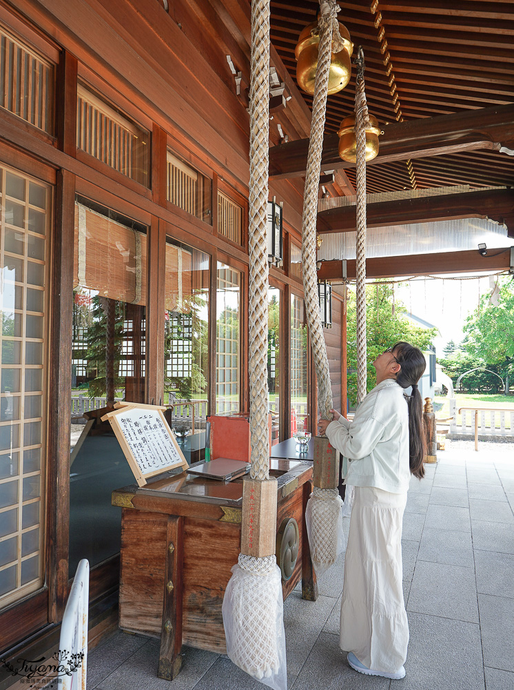 北海道美麗神社|美瑛神社:祈求好姻緣的華麗神社,一粒米帶來萬倍財富-玉米蝦夷神籤,北海道15個蝦夷神籤之一 @緹雅瑪 美食旅遊趣 北海道美麗神社|美瑛神社:祈求好姻緣的華麗神社,一粒米帶來萬倍財富-玉米蝦夷神籤,北海道15個蝦夷神籤之一 @緹雅瑪 美食旅遊趣