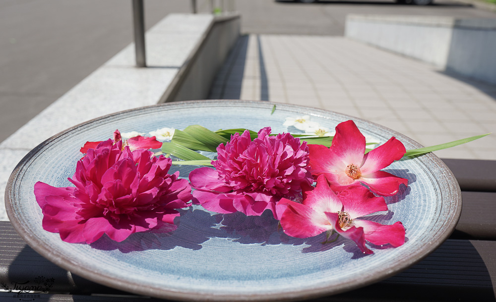 北海道美麗神社｜美瑛神社：祈求好姻緣的華麗神社，一粒米帶來萬倍財富-玉米蝦夷神籤，北海道15個蝦夷神籤之一 @緹雅瑪 美食旅遊趣