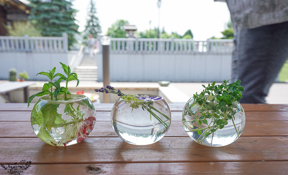北海道美麗神社｜美瑛神社：祈求好姻緣的華麗神社，一粒米帶來萬倍財富-玉米蝦夷神籤，北海道15個蝦夷神籤之一 @緹雅瑪 美食旅遊趣