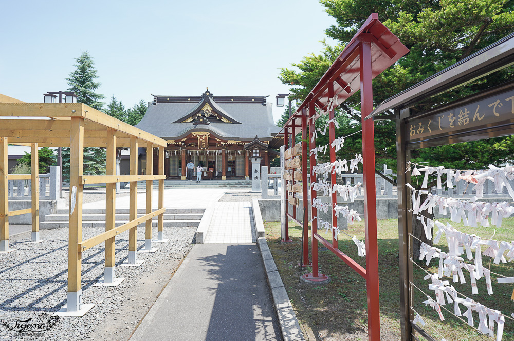 北海道美麗神社|美瑛神社:祈求好姻緣的華麗神社,一粒米帶來萬倍財富-玉米蝦夷神籤,北海道15個蝦夷神籤之一 @緹雅瑪 美食旅遊趣 北海道美麗神社|美瑛神社:祈求好姻緣的華麗神社,一粒米帶來萬倍財富-玉米蝦夷神籤,北海道15個蝦夷神籤之一 @緹雅瑪 美食旅遊趣