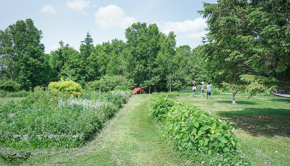 北海道美瑛童話風格烘焙甜點店「Ferme La Terre Biei 美瑛本店」,預約制法式鄉村風餐廳,品嚐美瑛小麥手工麵包、布丁、Ferme La Terre Biei伴手禮 @緹雅瑪 美食旅遊趣 北海道美瑛童話風格烘焙甜點店「Ferme La Terre Biei 美瑛本店」,預約制法式鄉村風餐廳,品嚐美瑛小麥手工麵包、布丁、Ferme La Terre Biei伴手禮 @緹雅瑪 美食旅遊趣