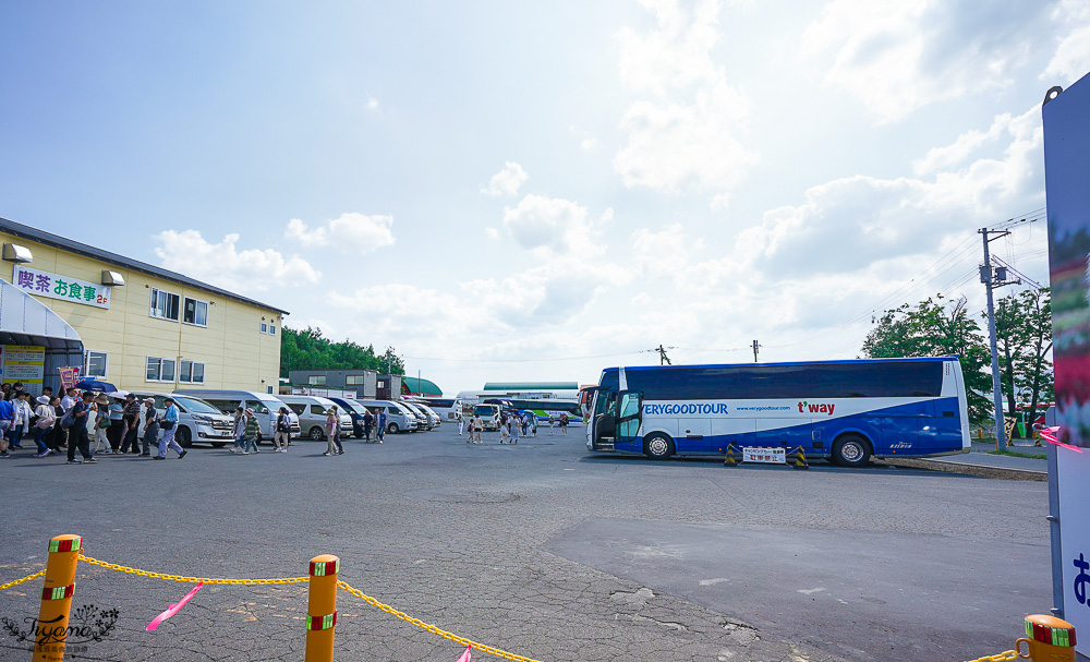 北道美瑛｜四季彩之丘：春夏季限定免入園費，遊園車NOROCCO號！10月~6月免門票 @緹雅瑪 美食旅遊趣