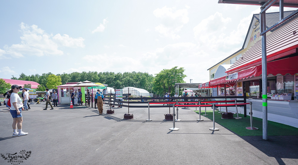 北道美瑛｜四季彩之丘：春夏季限定免入園費，遊園車NOROCCO號！10月~6月免門票 @緹雅瑪 美食旅遊趣