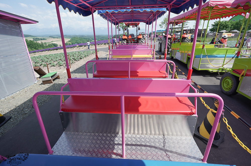 北道美瑛｜四季彩之丘：春夏季限定免入園費，遊園車NOROCCO號！10月~6月免門票 @緹雅瑪 美食旅遊趣